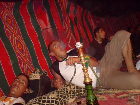 habibo4u style